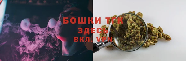 стаф Абдулино
